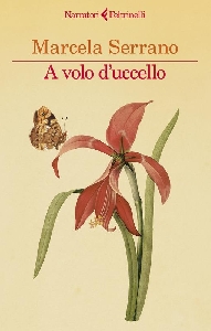 A VOLO D'UCCELLO